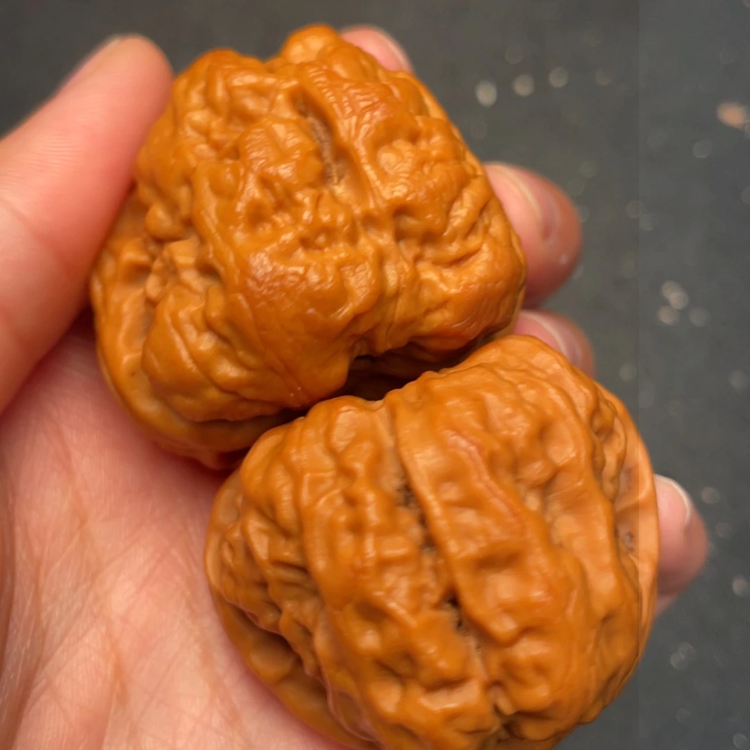 秦岭野生文玩核桃