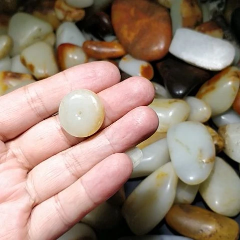 和田玉（白玉）未镶嵌颈饰