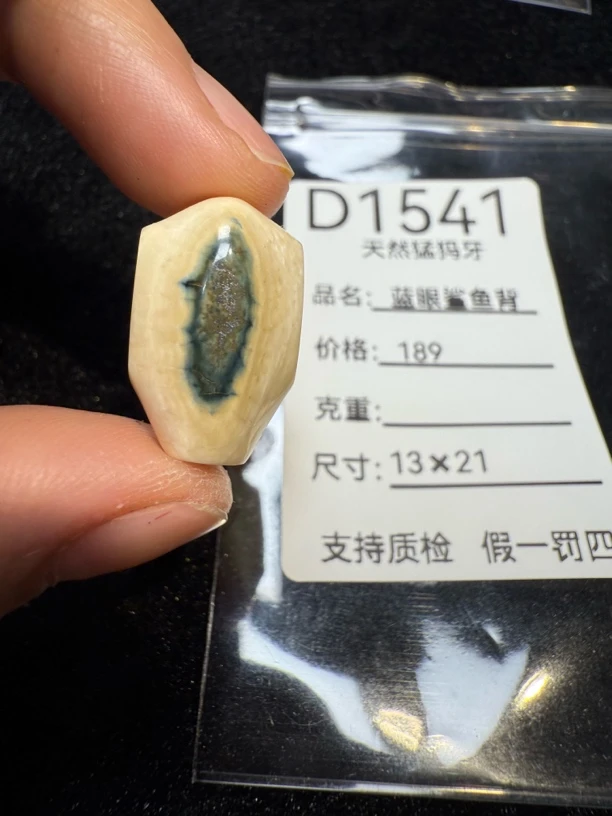 D1541天然猛犸牙蓝眼鲨鱼背配饰