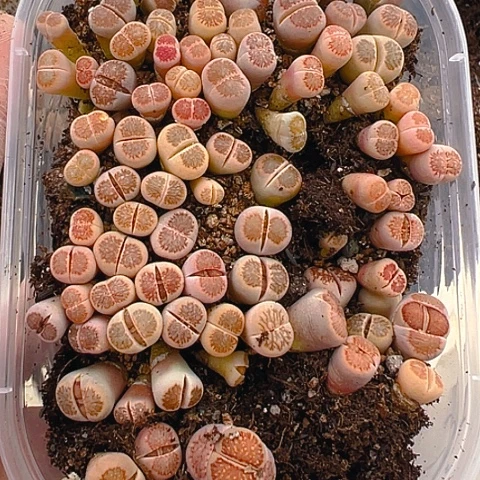 24399哈哈哈哈哈哈哈哈