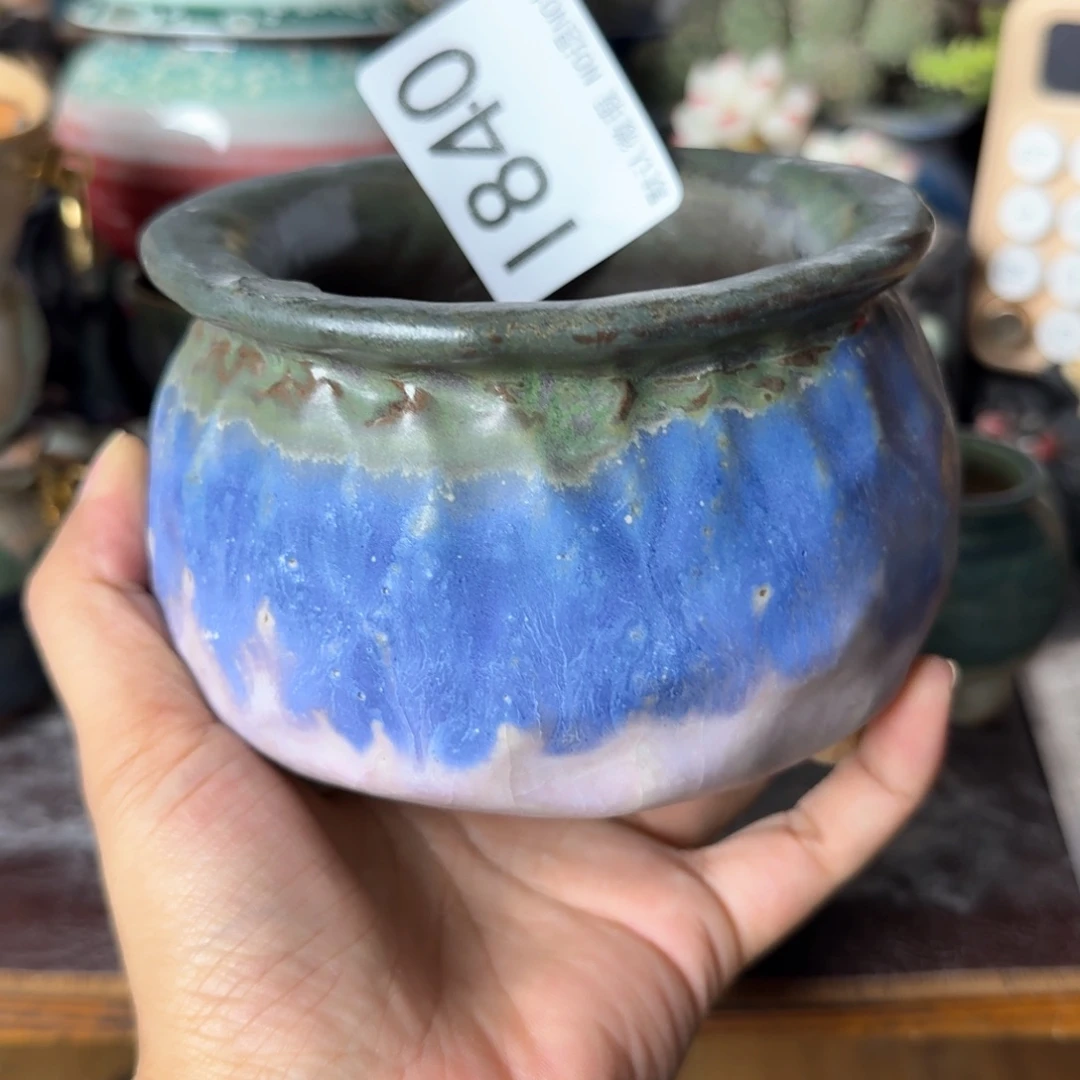 重庆小燕子欢迎大家840