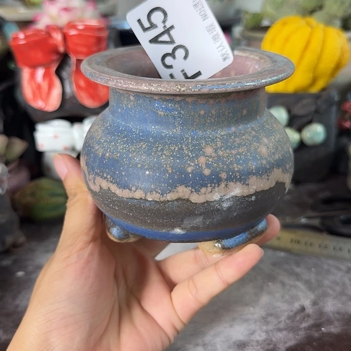 重庆小燕子欢迎大家345