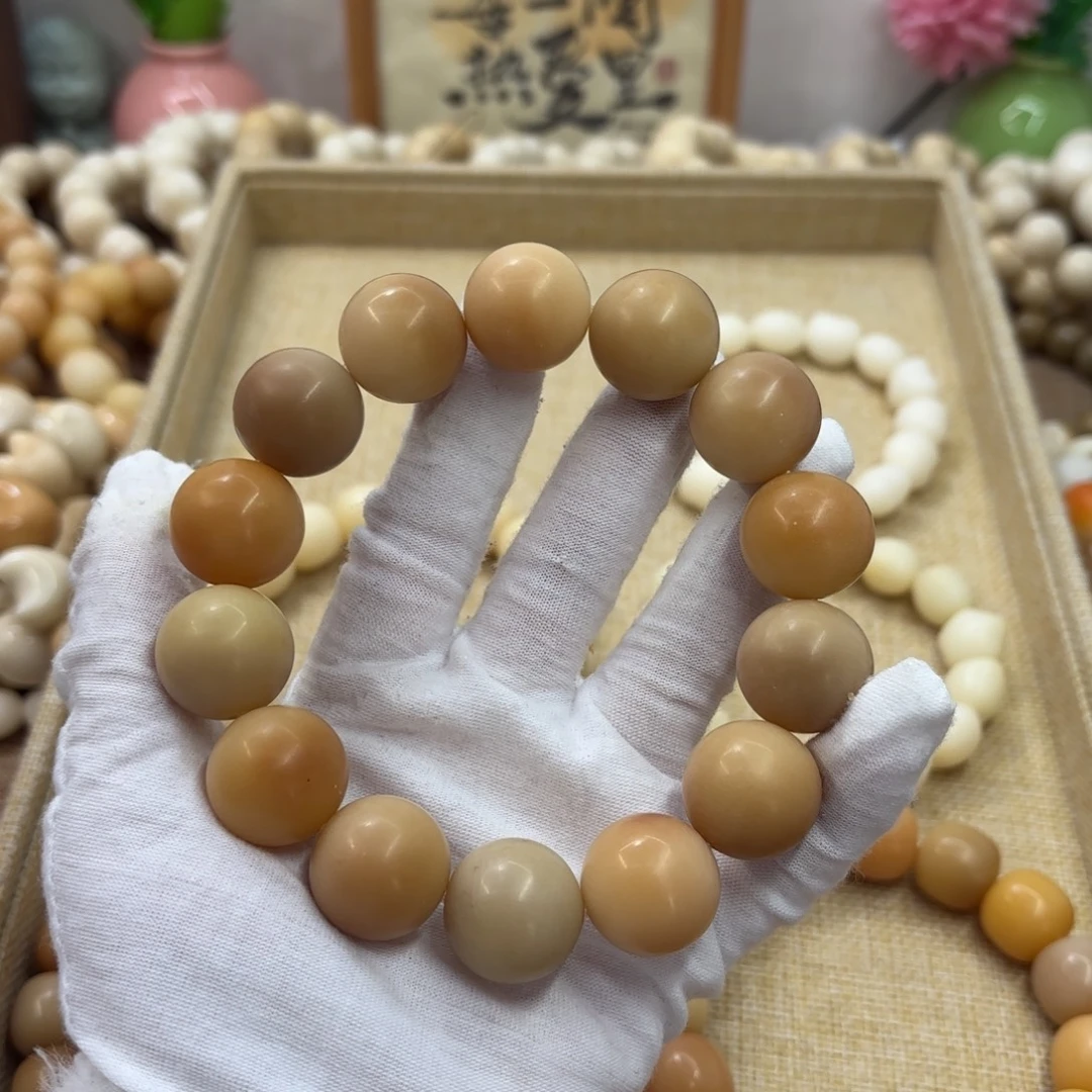 菩提根/象牙果吊坠20干磨瑕疵落地果368