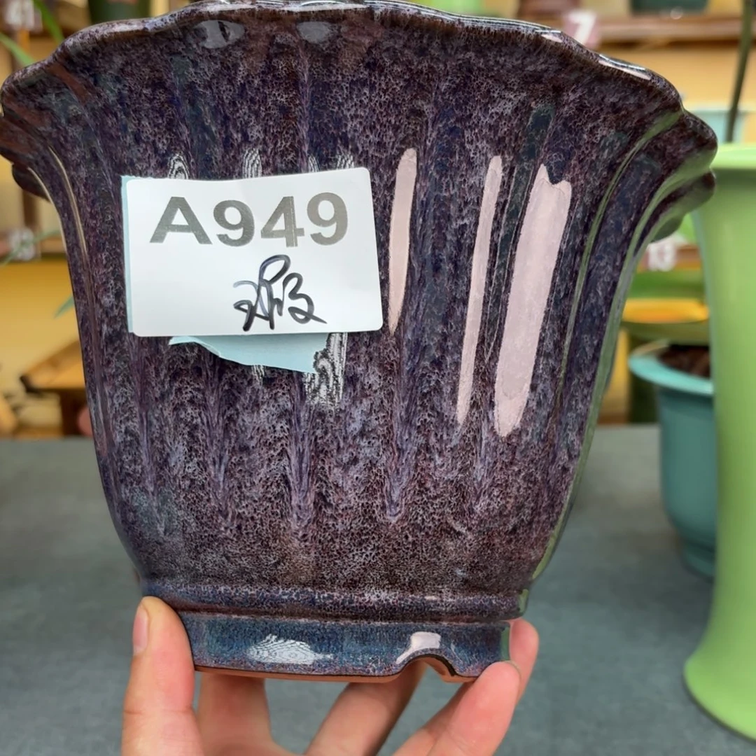 痴***人紫砂花盆兰花42575588880