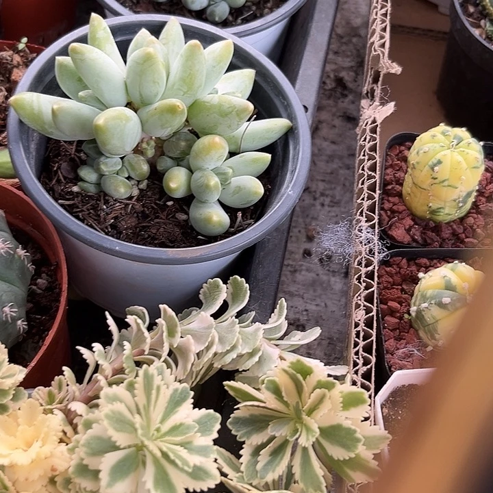 李***红企鹅4556677788998@迷雾