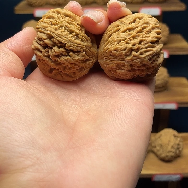 涿鹿南将，凹底小天残