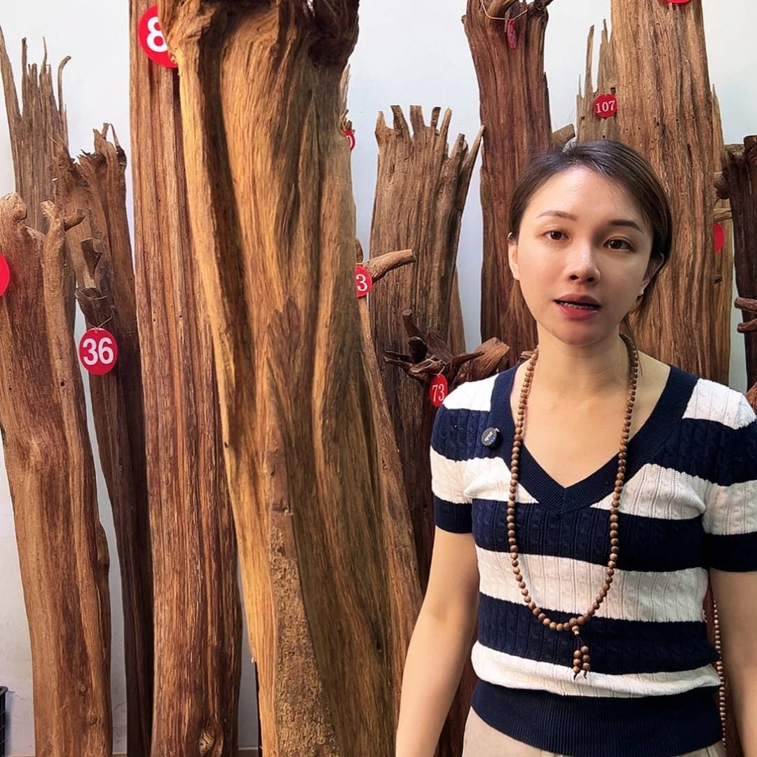 沉香碎屑沉香天然沉香原材料高品质