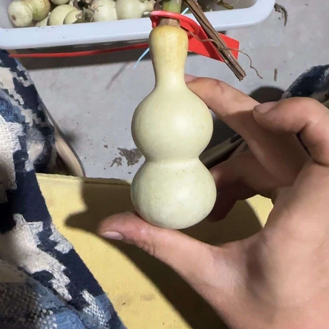 会***行鹿骨手串/手链111