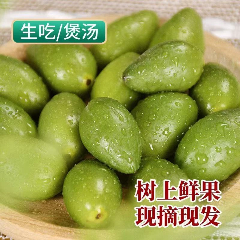 潮汕金灶本地青枣脆橄榄 现摘现发 生吃 煲汤 榨汁一斤装