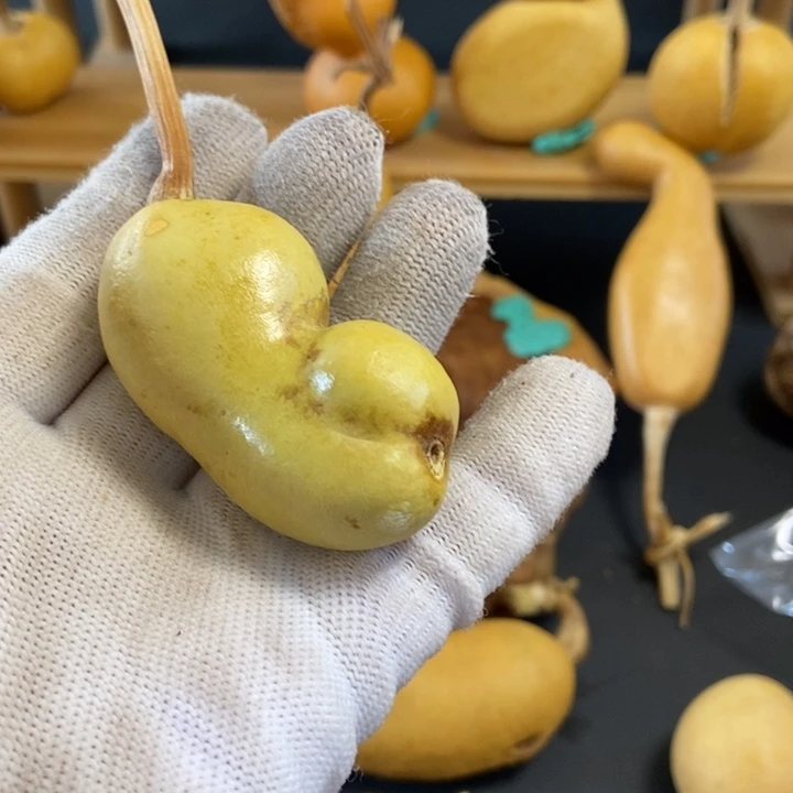 ?****⁸葫芦葫芦真的