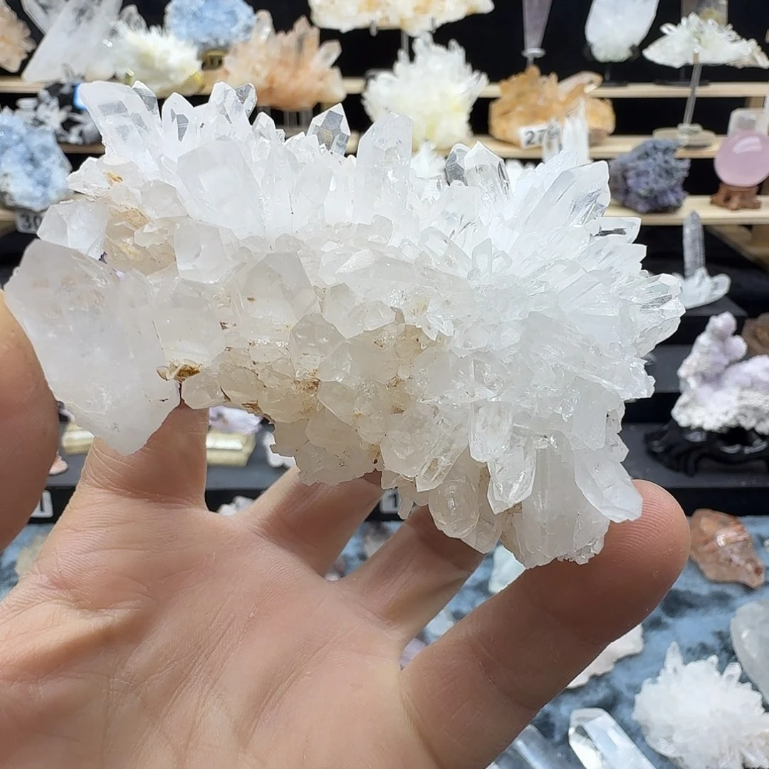 石材金口河菊花晶