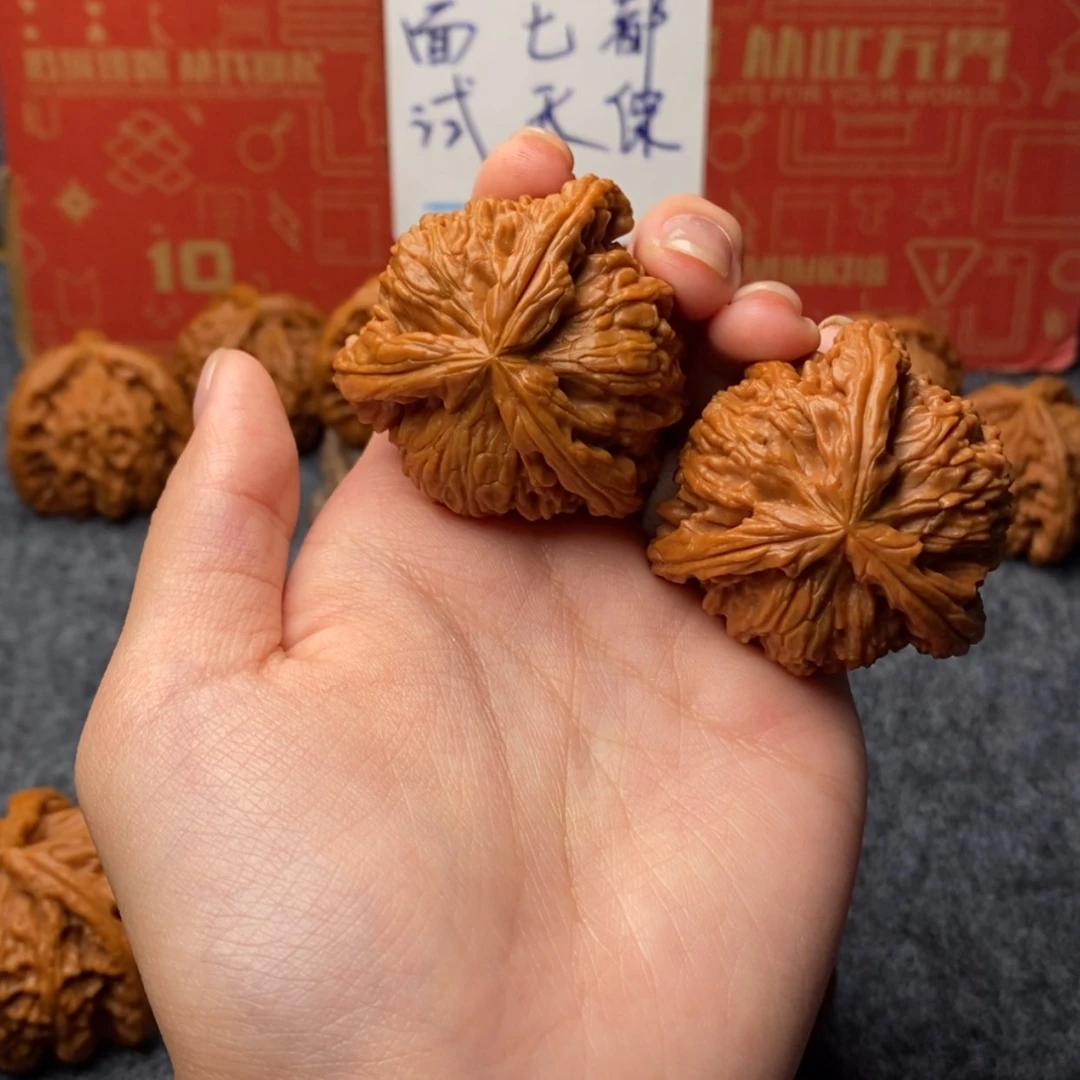 【闪购商品】毛**儿白狮子11111