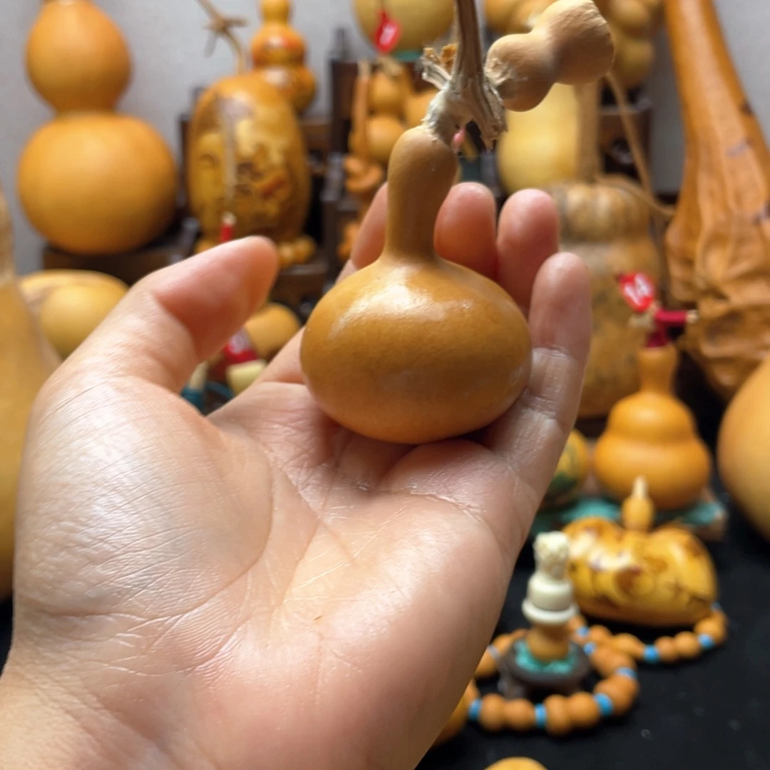 龙*侠大自然的秘密第十节第一