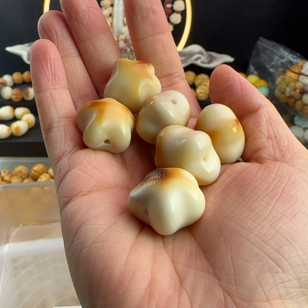 菩提根/象牙果吊坠微瑕牙果轻炭烤星星5颗