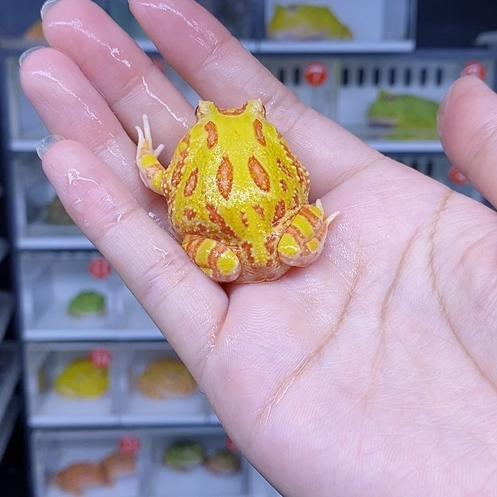 特价秒杀现货特价