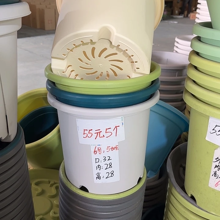 微瑕6#口径32无托果绿5个