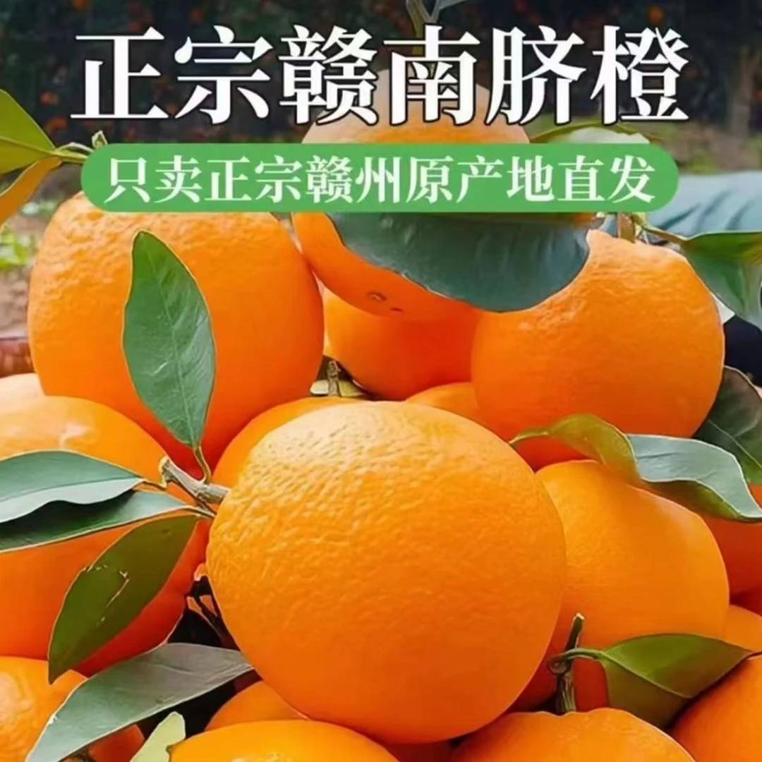 正宗江西赣南脐橙新鲜现摘甜橙子产地直发（Z）