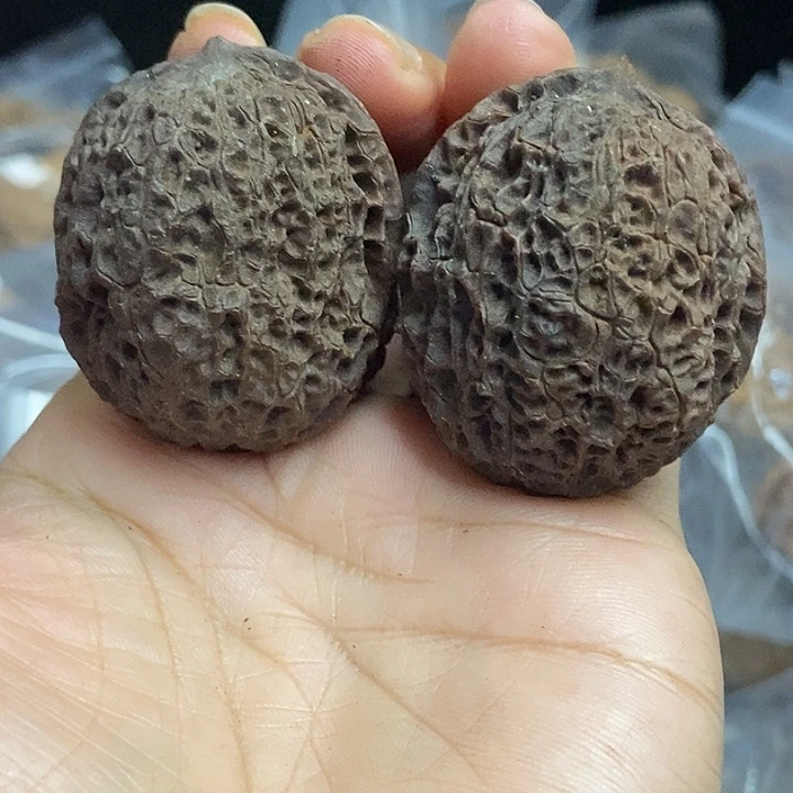 把件文玩核桃云南铁核桃基地30