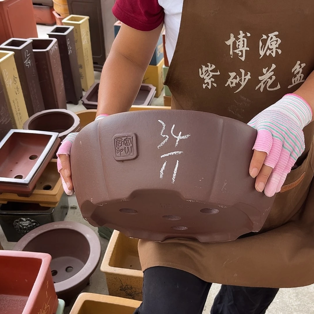 紫砂花盆盆景艺术