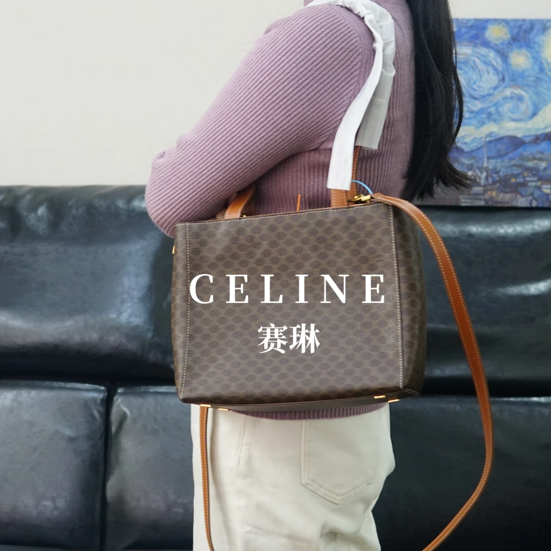 95新 Celine/思琳 老花单肩包/SP01609517/9517