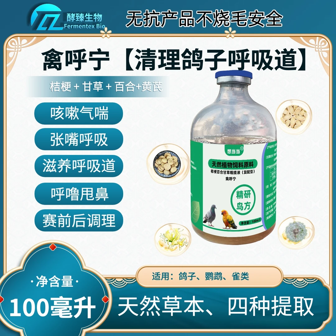 禽呼宁鸽子呼吸道感染专用甩鼻带声清理上下呼吸道呼吸困难