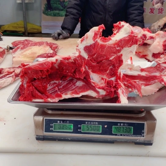 【闪购商品】冷冻保存30天包装河北省