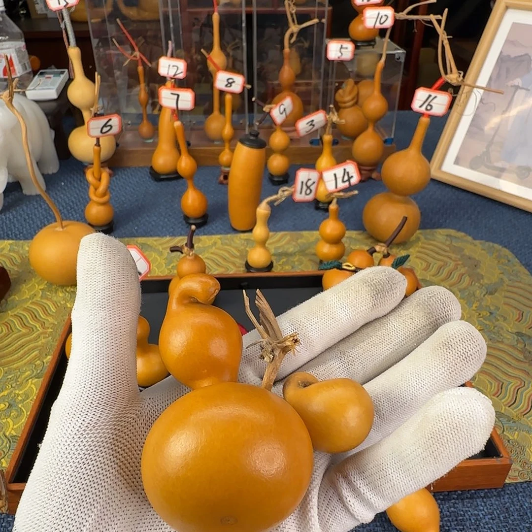 丁葫芦葫芦葫芦葫芦葫芦葫芦葫芦葫芦葫芦