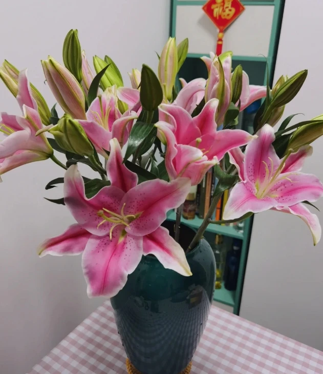 【新疆花之溪】索尔邦百合 单头10枝（1枝不赔付）