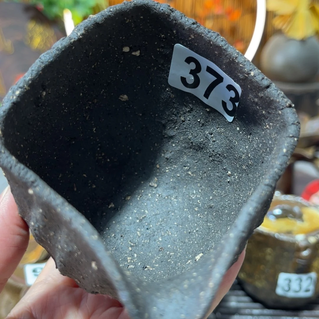 木村信弘柴烧保平