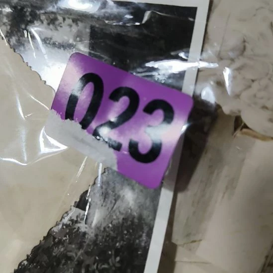五***狗民俗文化研究研究