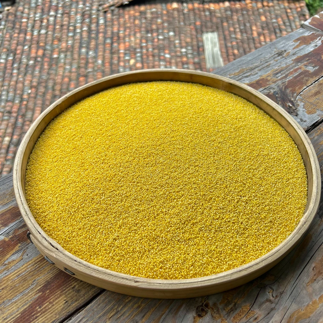 高山 农家  小米