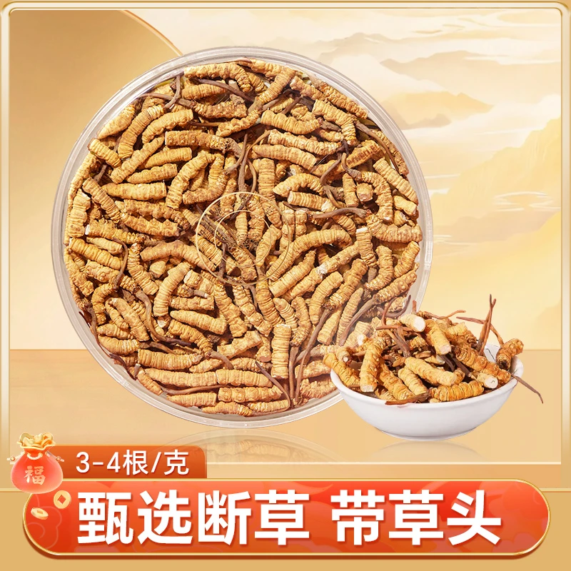 【大断草】冬虫夏草 精选纯干断蟲草 头茬高品质