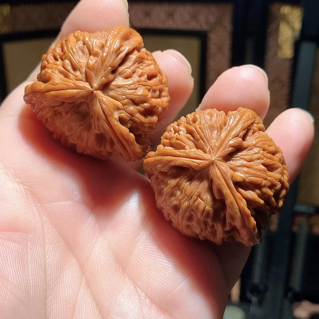 文玩核桃把件40白奔