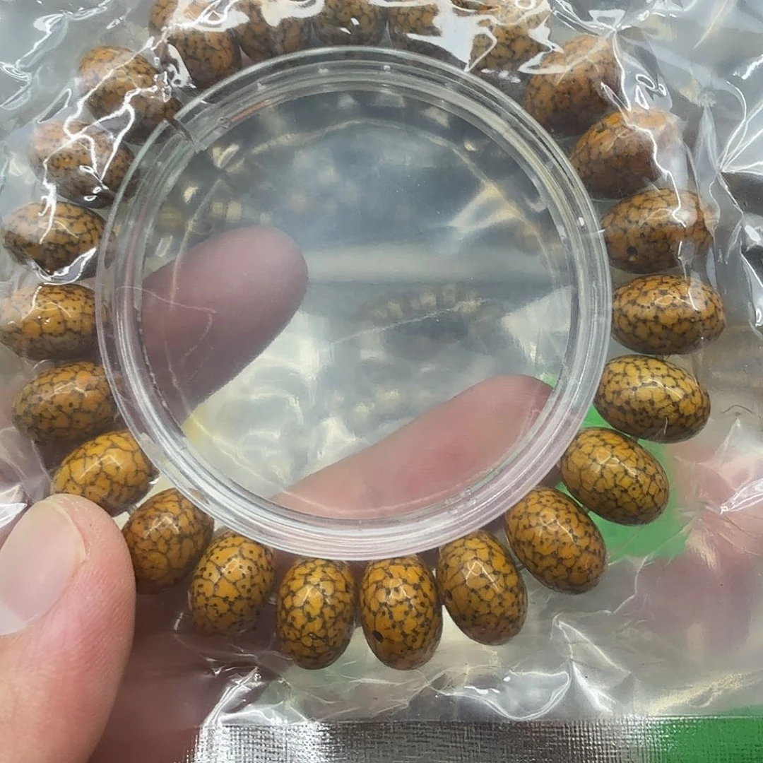 星月菩提手串33傲视开片星月菩提单圈苹果园1.4