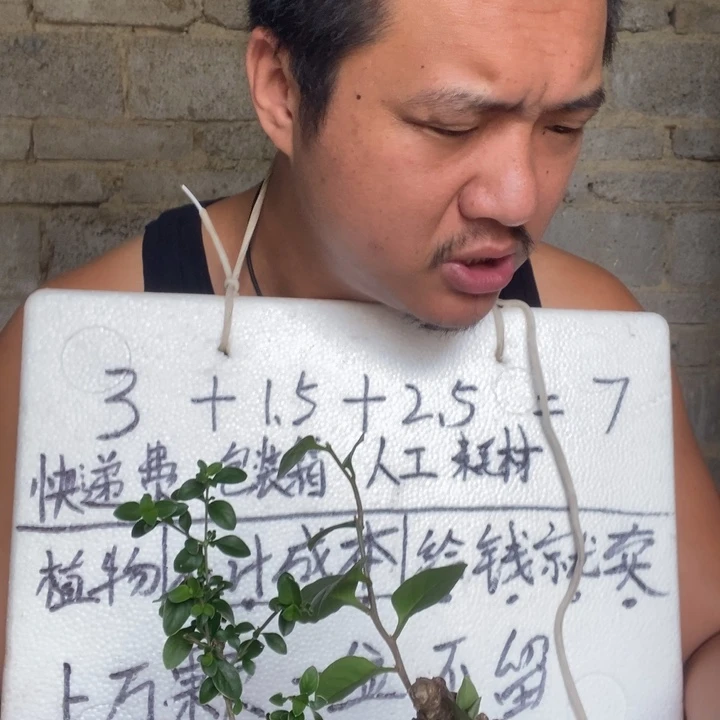 退款拉黑一物一拍85