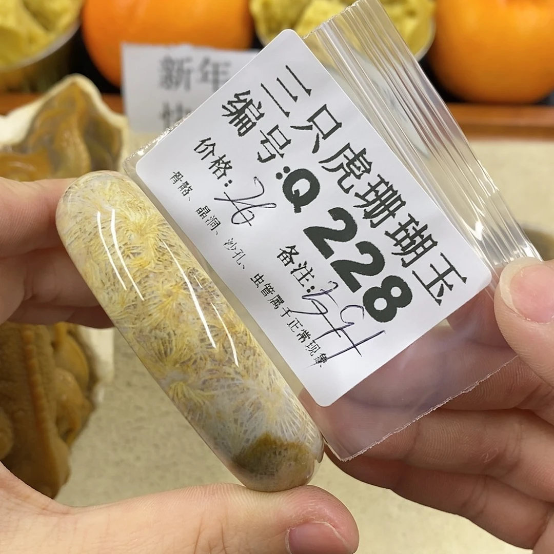 硅化珊瑚（珊瑚玉）1未镶嵌没****水