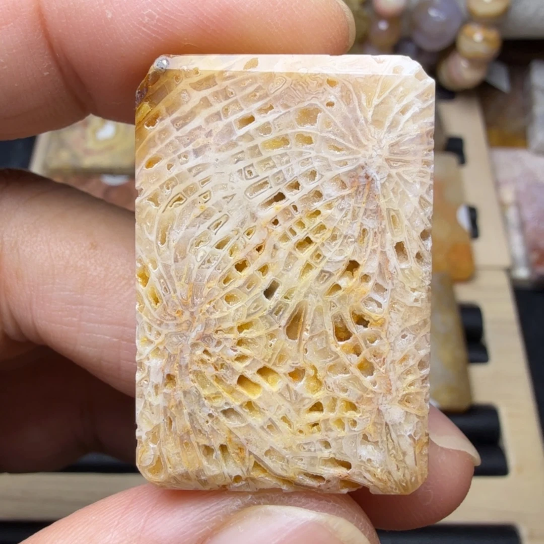 硅化玉未镶嵌纯天然色有机玉石保真色骨骼花