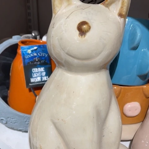 【闪购商品】杯把你䛛劘䛛劘䛛劘䛛劘