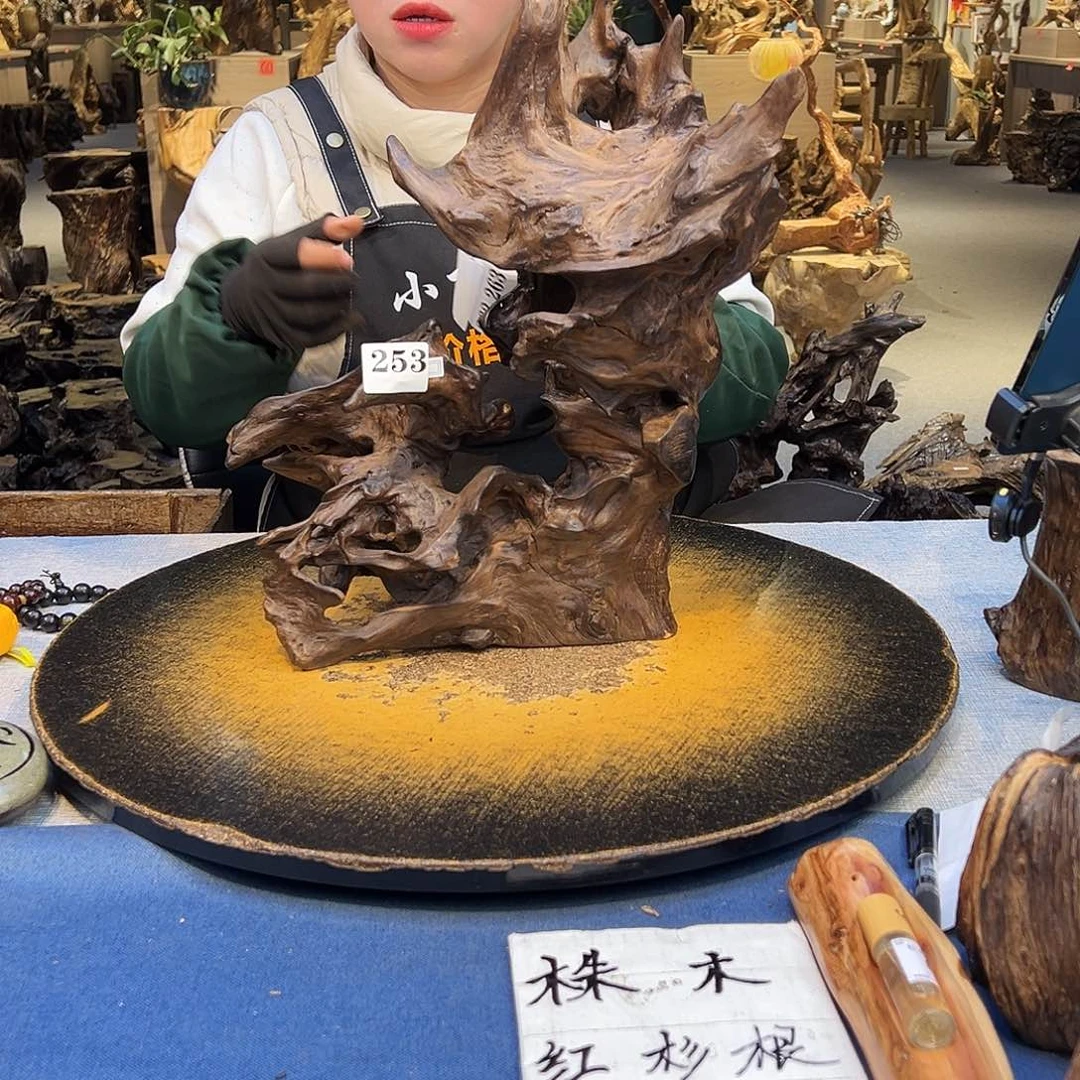 清***泉香榧木253gggggggggg