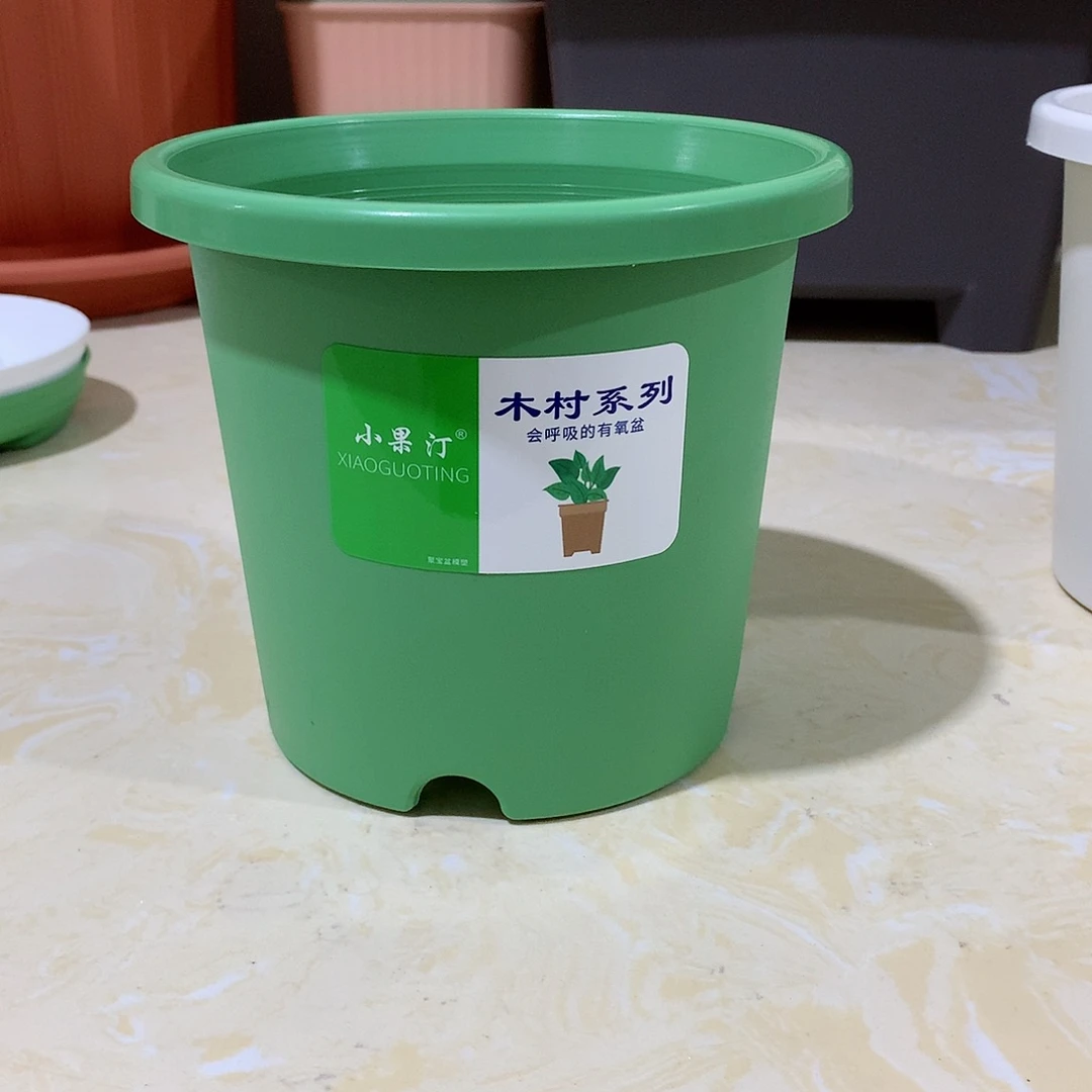 树脂四季口15绿10个无托