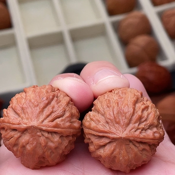 把件文玩核桃红珊瑚