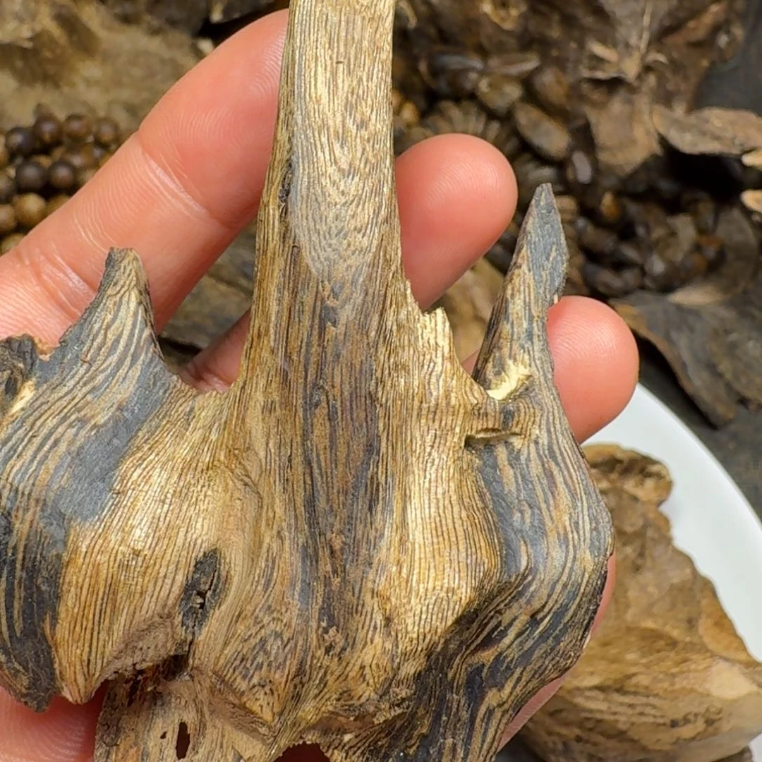 树脂制品用****5天然包头13.3 g