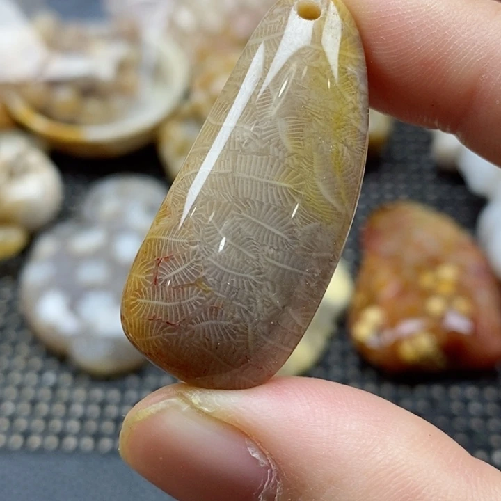 硅化珊瑚（珊瑚玉）颈饰未镶嵌