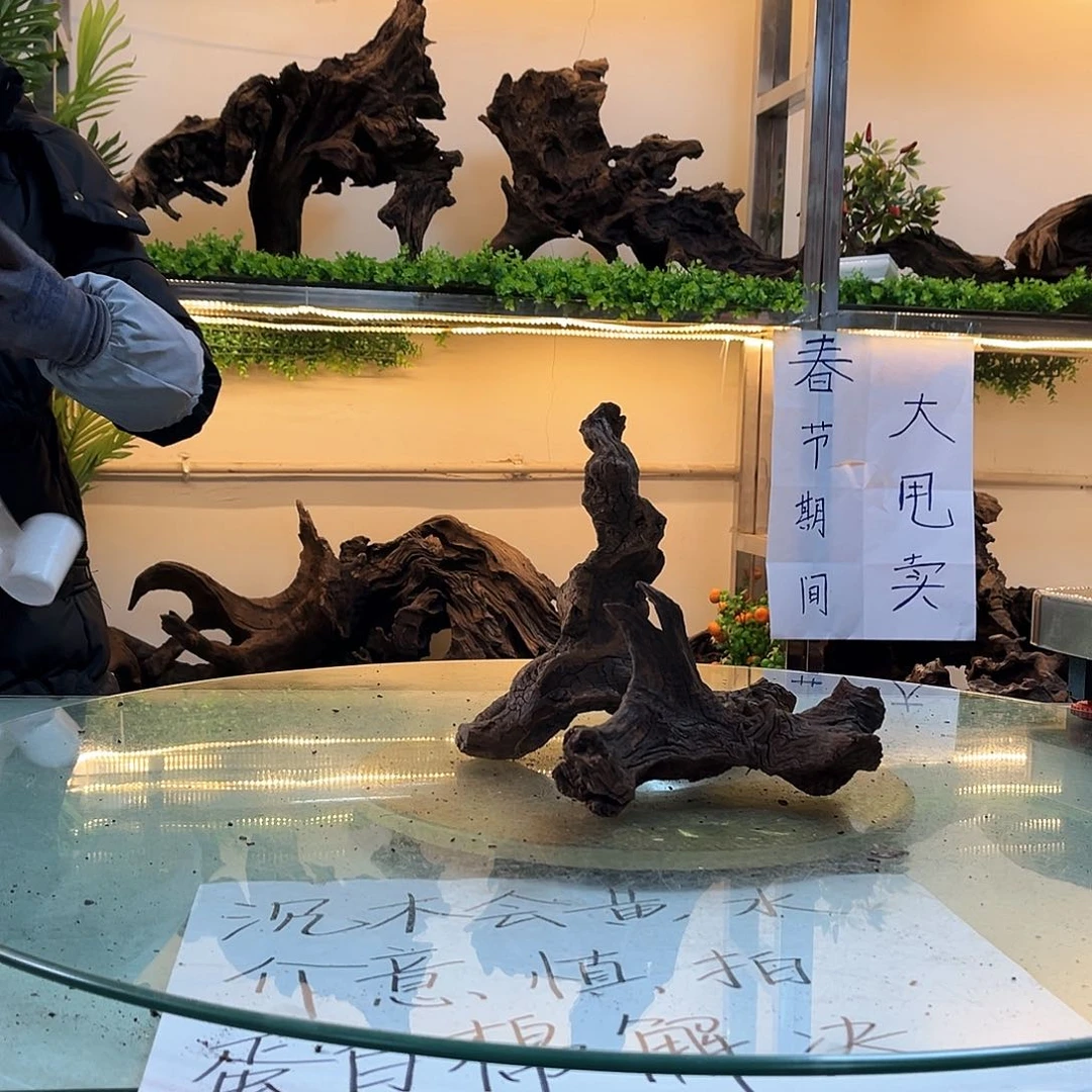 柚木沉木鱼缸造景