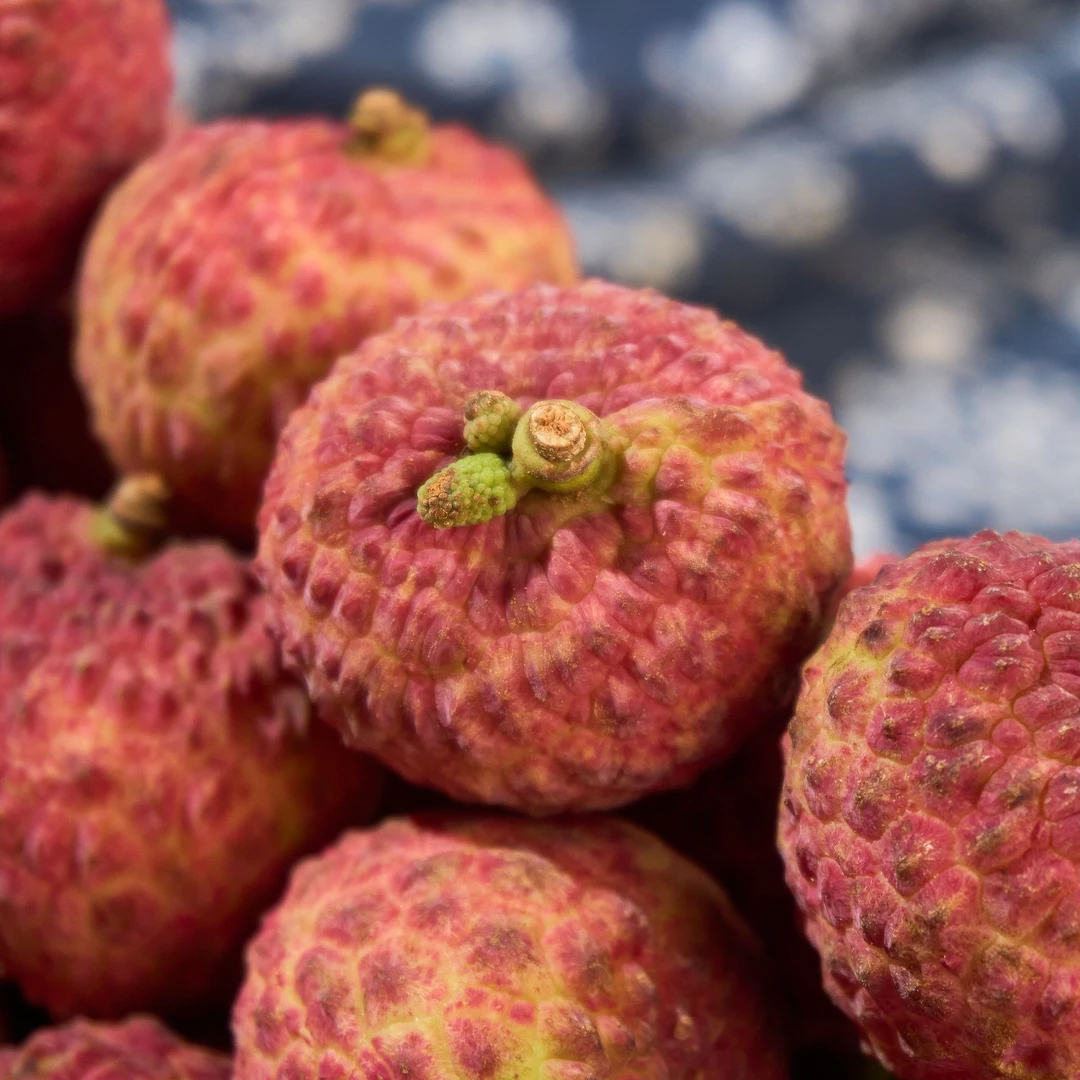 【广州工控专属】湛江仙进奉荔枝新鲜现摘当季水果冷链发货香甜多汁