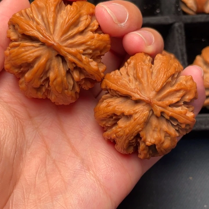 秦岭野生核桃文玩