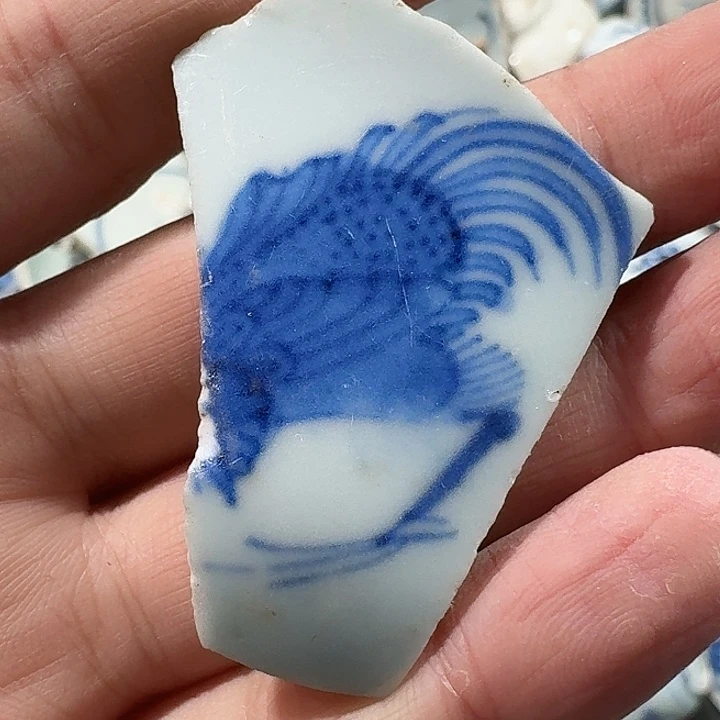 .***.瓷片瓷片标本，顺丰包邮