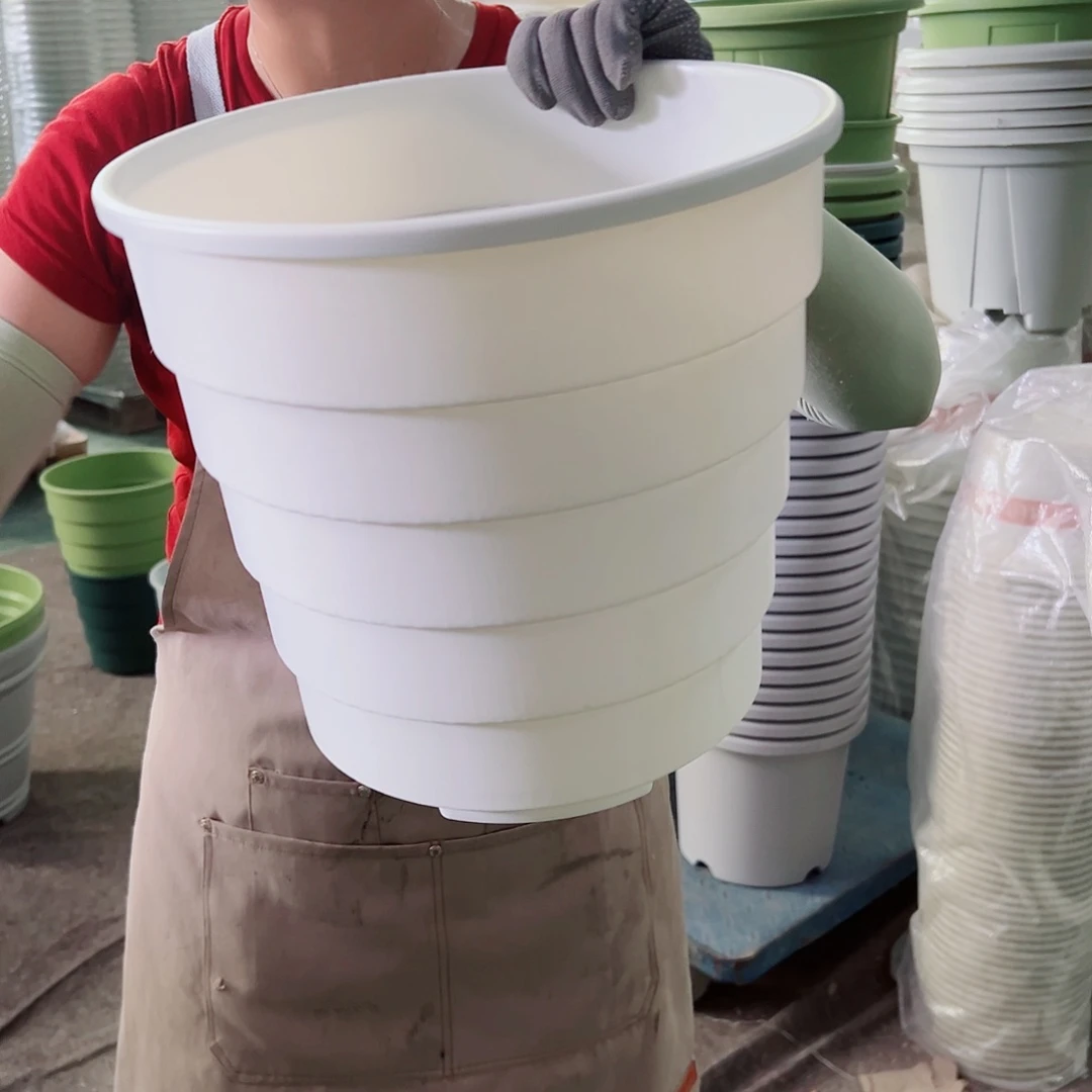 360控根5#白色3个无托