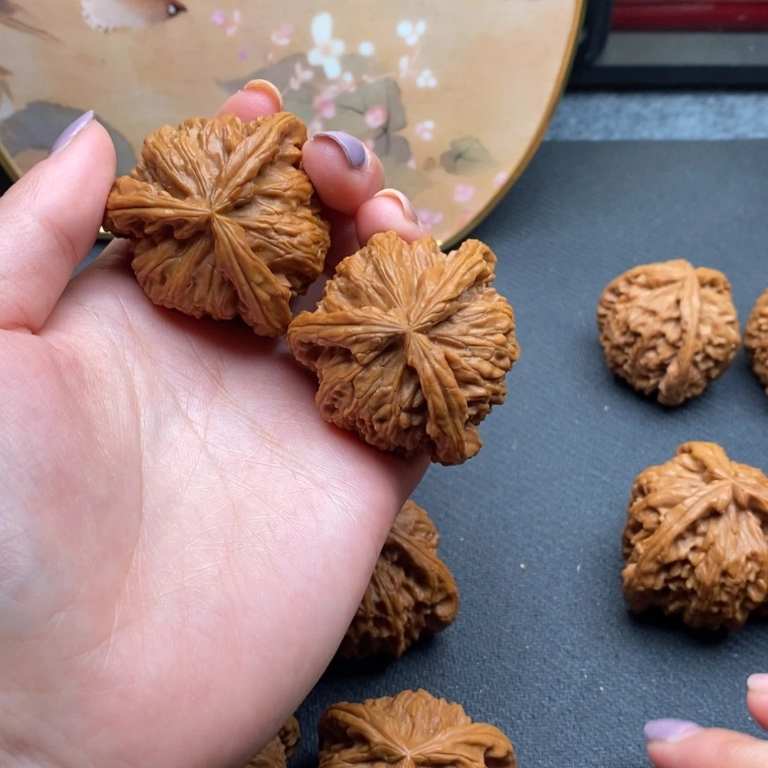 @*柒白狮子1111111111