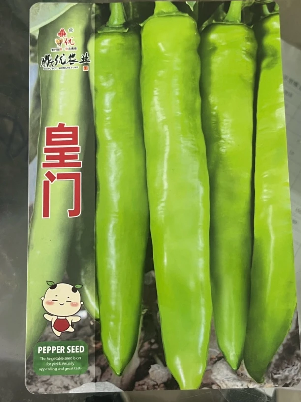 皇门 大果黄皮 适合春秋大棚种植 1000粒装